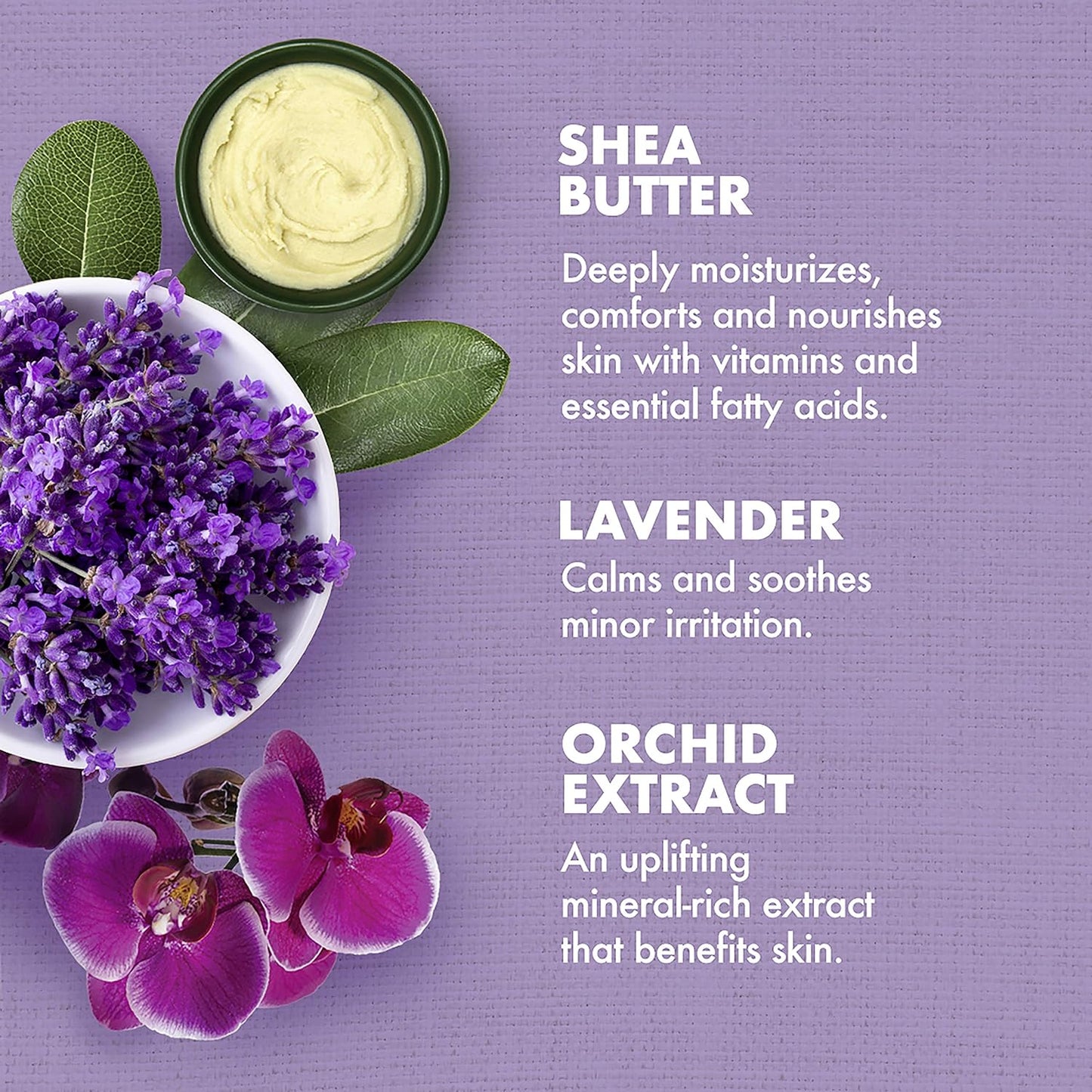 Bath, Body and Massage Oil Lavender